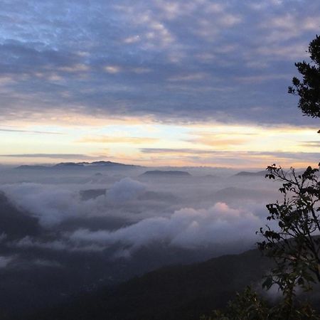 Wanakaset Forest Glamping Китулгала Экстерьер фото
