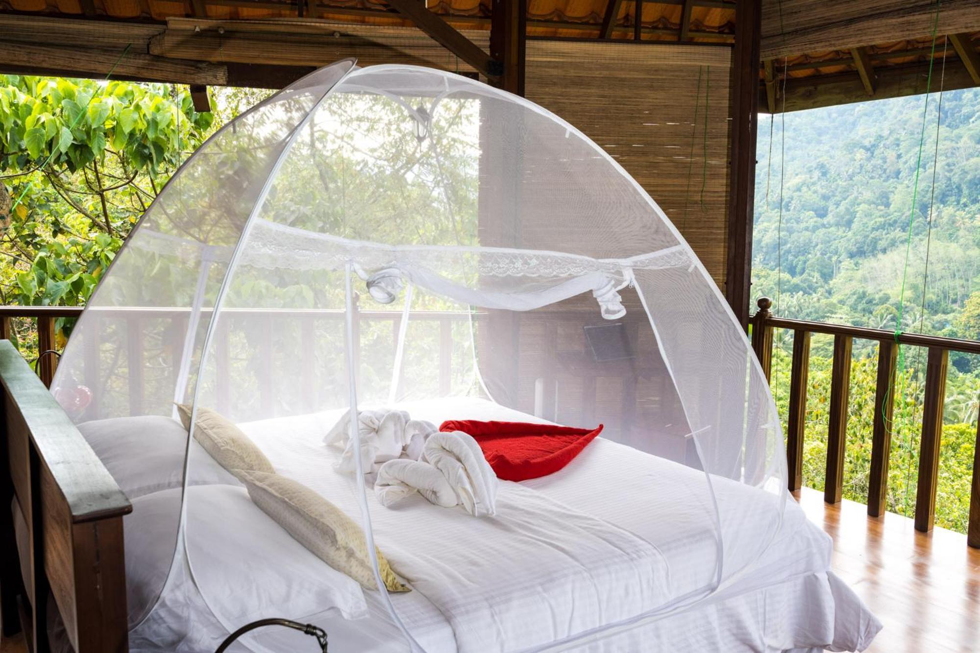 Wanakaset Forest Glamping Китулгала Экстерьер фото