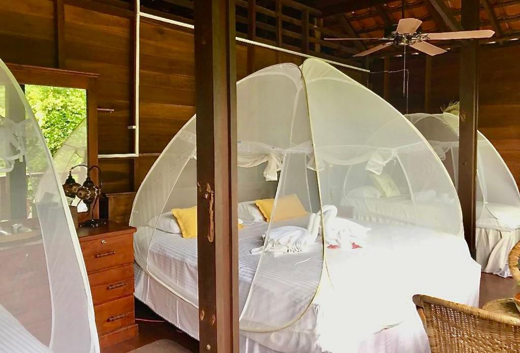 Wanakaset Forest Glamping Китулгала Экстерьер фото