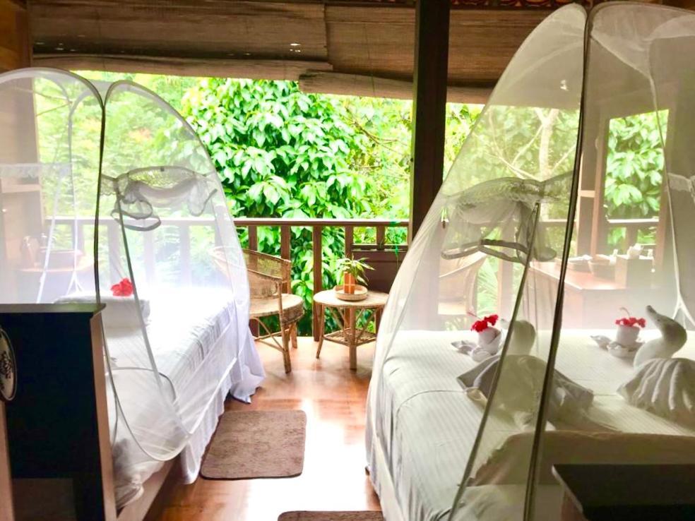 Wanakaset Forest Glamping Китулгала Экстерьер фото